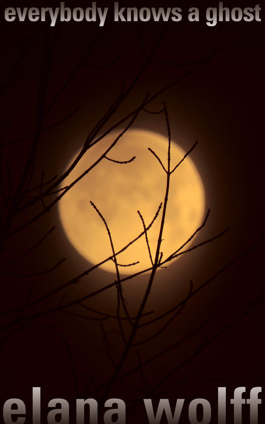 Everybody Knows a Ghost